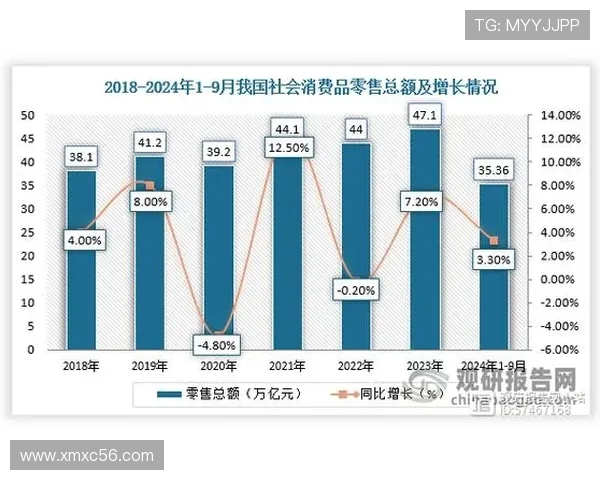 数据分析揭秘V5的强大表现与市场影响力探讨
