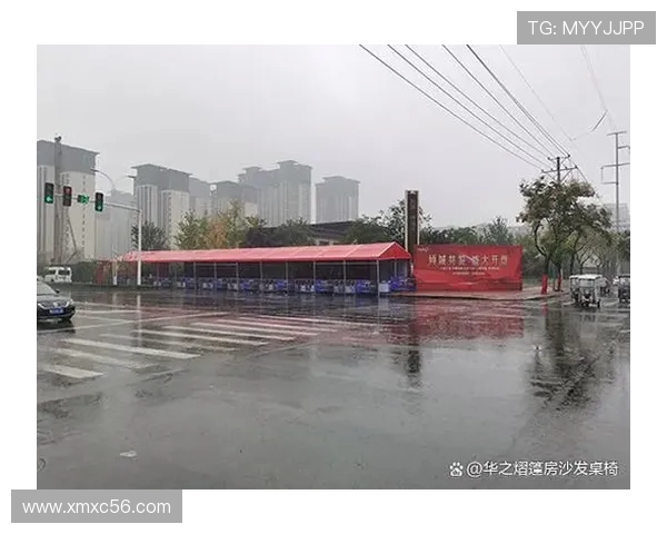 武汉极限运动队灵活性分析与其他城市队伍的对比研究