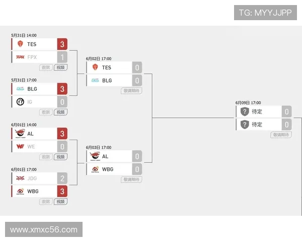 赛后分析：BLG与TES对决中的战术运用与技术细节探讨