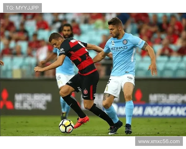 惠灵顿凤凰对阵中央海岸水手2019赛季精彩直播回顾与分析