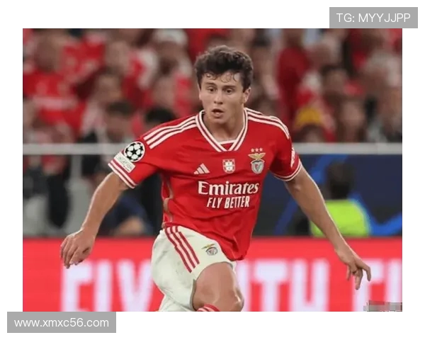 若昂内维斯:从新星崛起到足球巨星的华丽转身与未来展望