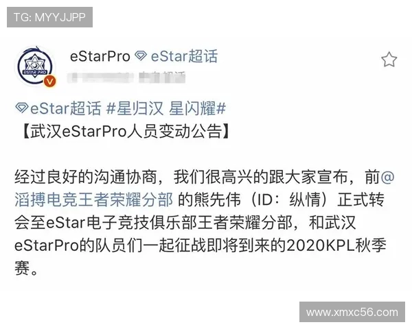 TES战队意识解析:王者荣耀中的战略思维与团队协作探讨 TES战队意识解析:王者荣耀中的战略思维与团队协作探讨